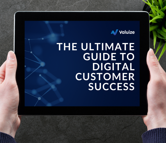 The Ultimate Guide to Digital Customer Success